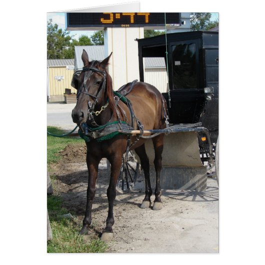 Amish paard en buggy supermarkt Stop (Voorkant)
