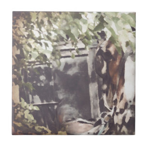 Amish-paard Tegeltje