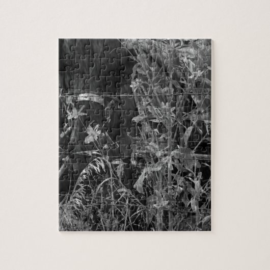 Amish Paard Zwart en Wit Grunge Legpuzzel (Verticaal)