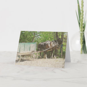 Amish paarden en wagen kaart