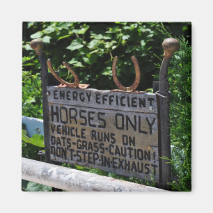 Amish Parking Sign Magneet