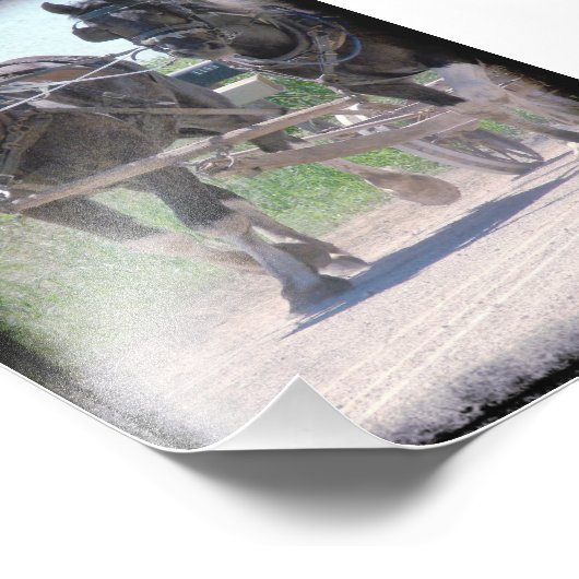 Amish Pinto-tekeningen werken Foto Afdruk (Hoek)