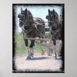 Amish Pintos Poster