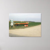 Amish Pompoenveld Boerderij Fotografie Wand Kunst