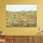 Amish Pompoenveld Fotografie Wand Kunst Canvas Afdruk (Insitu (Woonkamer))