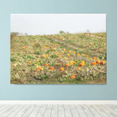 Amish Pompoenveld Fotografie Wand Kunst Canvas Afdruk (Insitu (Houten vloer))