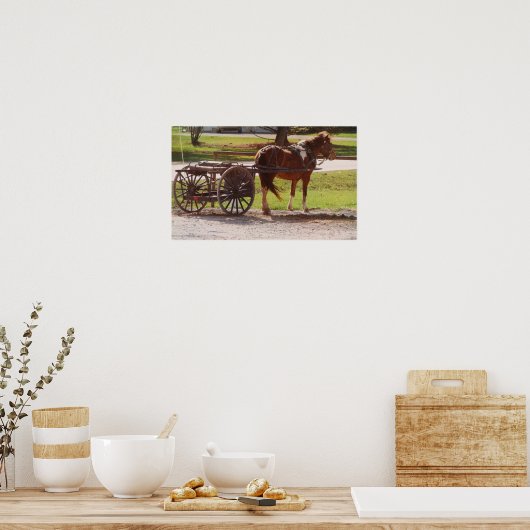 Amish Pony Cart Poster (Keuken)