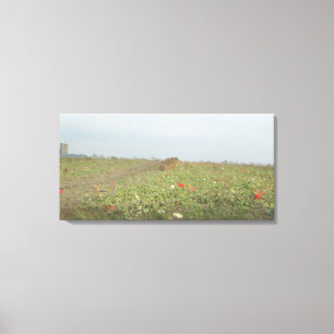  Amish Pumpkin-Boerderij in het Midwesten Canvas Afdruk