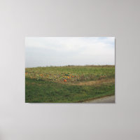 Amish Pumpkin Patch Boerderij Fotografie Wall Art