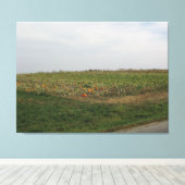 Amish Pumpkin Patch Boerderij Fotografie Wall Art Canvas Afdruk (Insitu (Houten vloer))