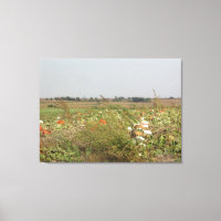 Amish Pumpkin Patch Boerderij Fotografie Wall Art