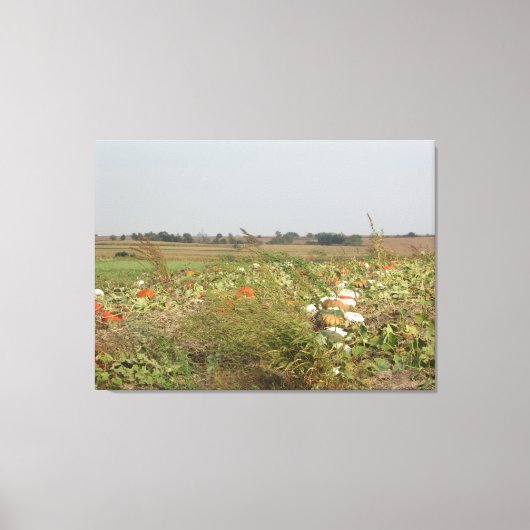 Amish Pumpkin Patch Boerderij Fotografie Wall Art Canvas Afdruk (Voorkant)