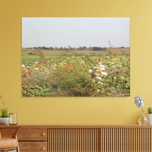Amish Pumpkin Patch Boerderij Fotografie Wall Art Canvas Afdruk (Insitu (Woonkamer))