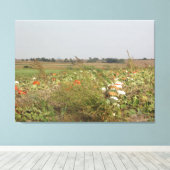Amish Pumpkin Patch Boerderij Fotografie Wall Art Canvas Afdruk (Insitu (Houten vloer))