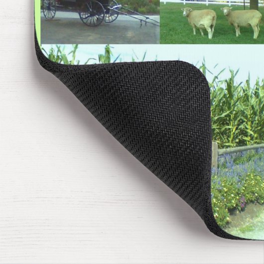 Amish Recipes Muismat (Hoek)