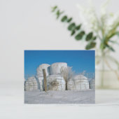 Amish Round Hay Bales-Briefkaart Briefkaart (Staand voorkant)