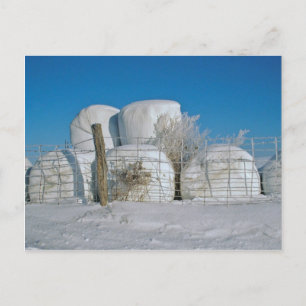 Amish Round Hay Bales-Briefkaart Briefkaart