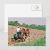 Amish Seed Spreader Briefkaart (Voorkant / Achterkant)