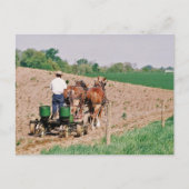 Amish Seed Spreader Briefkaart (Voorkant)