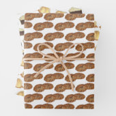 Amish Shoo Fly Pie Apple Dumpling Ginger Snaps Inpakpapier Vel (In situ)