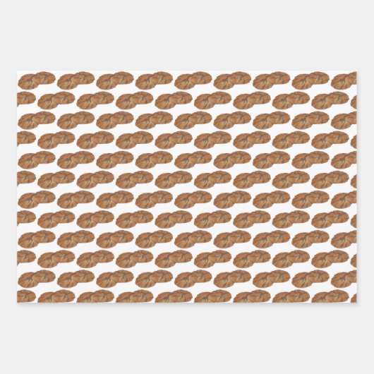 Amish Shoo Fly Pie Apple Dumpling Ginger Snaps Inpakpapier Vel (Voorkant)