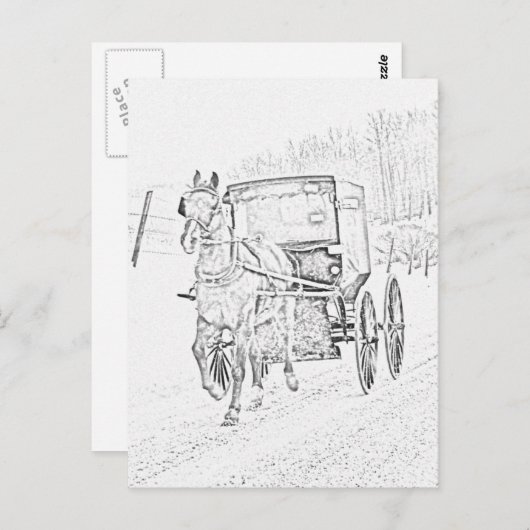 Amish Sketch-Horse en Buggy-Briefkaart Briefkaart (Voorkant / Achterkant)