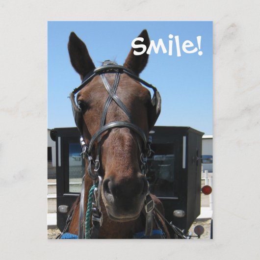 Amish Smile! Briefkaart (Voorkant)