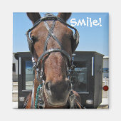 Amish Smile (o) Magneet (Voorkant)
