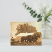 Amish Team Briefkaart (Staand voorkant)