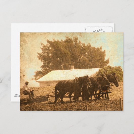 Amish Team Briefkaart (Voorkant / Achterkant)