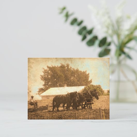 Amish Team Briefkaart (Staand voorkant)