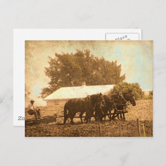 Amish Team Briefkaart (Voorkant / Achterkant)