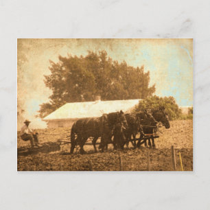 Amish Team Briefkaart