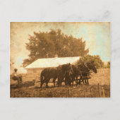 Amish Team Briefkaart (Voorkant)