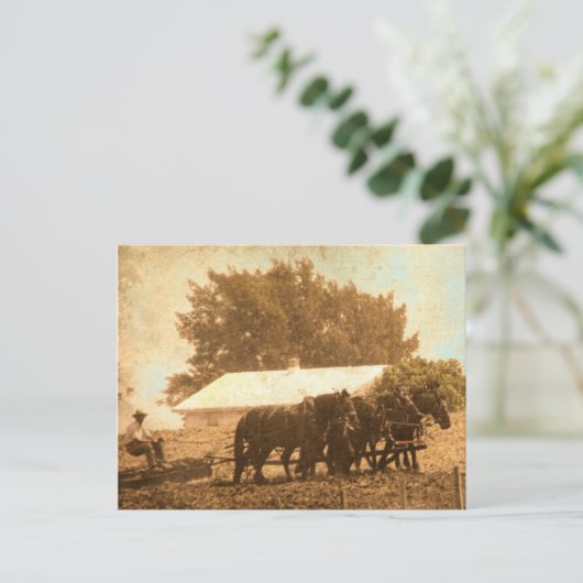 Amish Team Briefkaart (Staand voorkant)