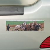 Amish Team Bumpersticker (Op auto)