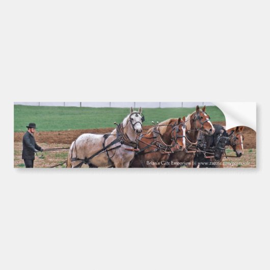 Amish Team Bumpersticker (Voorkant)