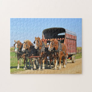 Amish Team of Vier Legpuzzel