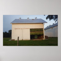 Amish Tobacco Barn/Pennsylvania