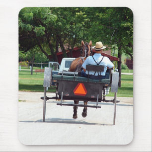 Amish Travel Muismat