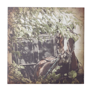 amish Waiting Horse Tegeltje