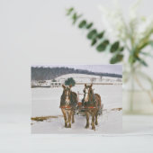 Amish Winter Draft Horses-Briefkaart Briefkaart (Staand voorkant)