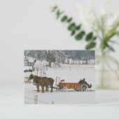 Amish Winter Farmer on Spreader-Briefkaart Briefkaart (Staand voorkant)