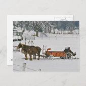 Amish Winter Farmer on Spreader-Briefkaart Briefkaart (Voorkant / Achterkant)