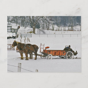 Amish Winter Farmer on Spreader-Briefkaart Briefkaart