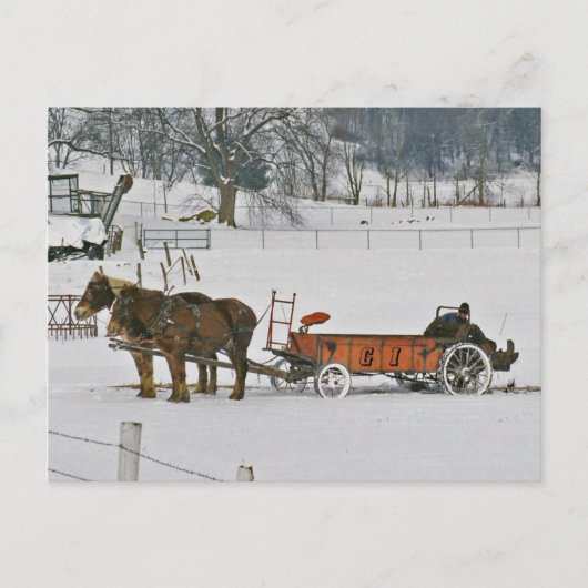 Amish Winter Farmer on Spreader-Briefkaart Briefkaart (Voorkant)