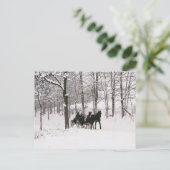 Amish Winter Snow Scene-Briefkaart Briefkaart (Staand voorkant)