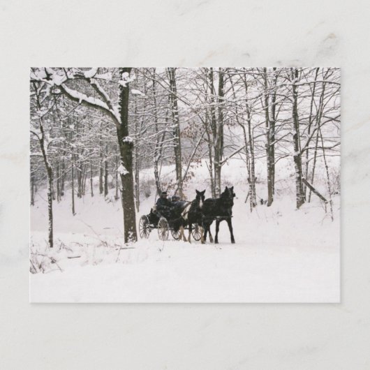 Amish Winter Snow Scene-Briefkaart Briefkaart (Voorkant)