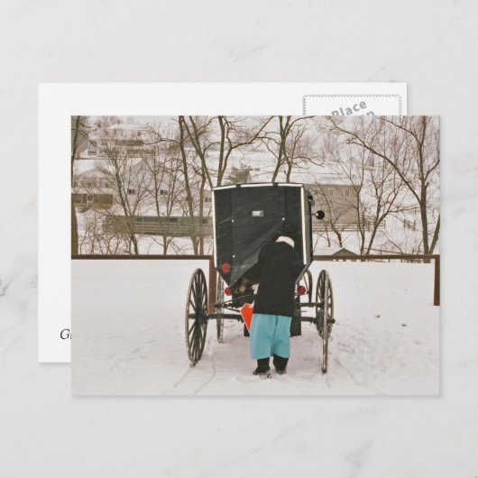 Amish Woman Loading Buggy - Briefkaart (Voorkant / Achterkant)