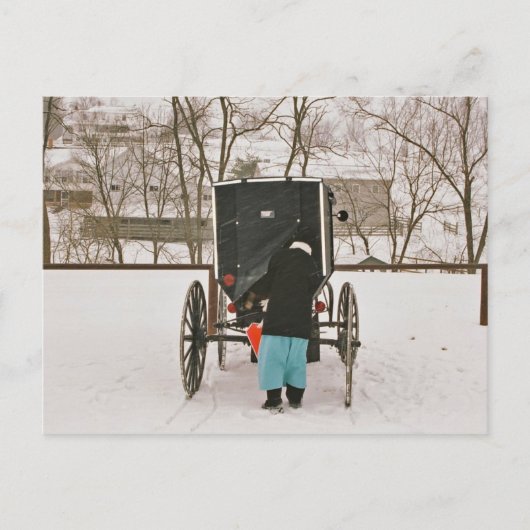 Amish Woman Loading Buggy - Briefkaart (Voorkant)